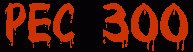 A verdade sobre a PEC 300 